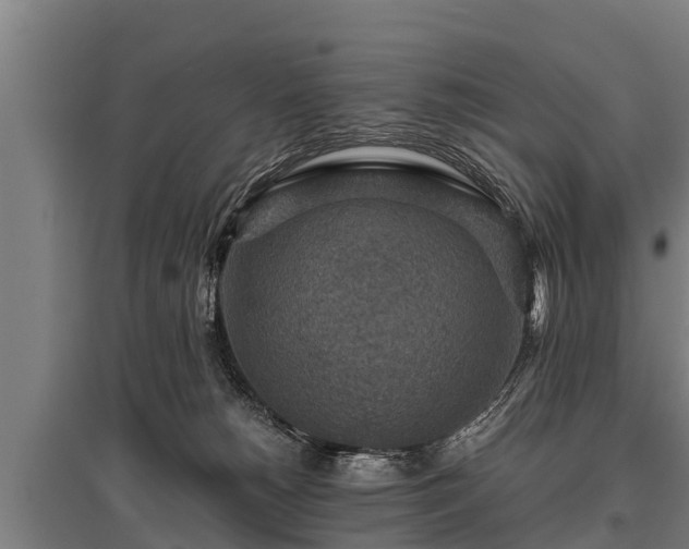 X0000095940180200801181408