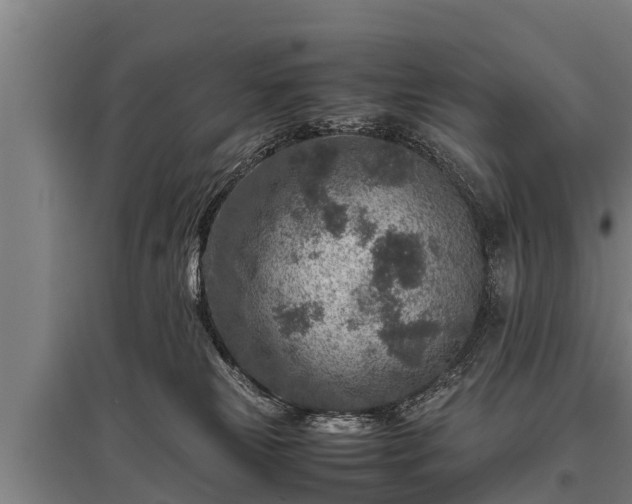 X0000095940181200801181408
