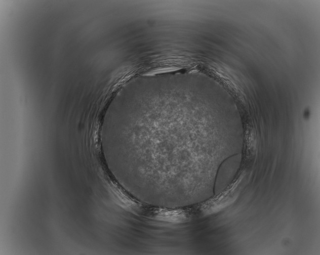 X0000095940185200801181409