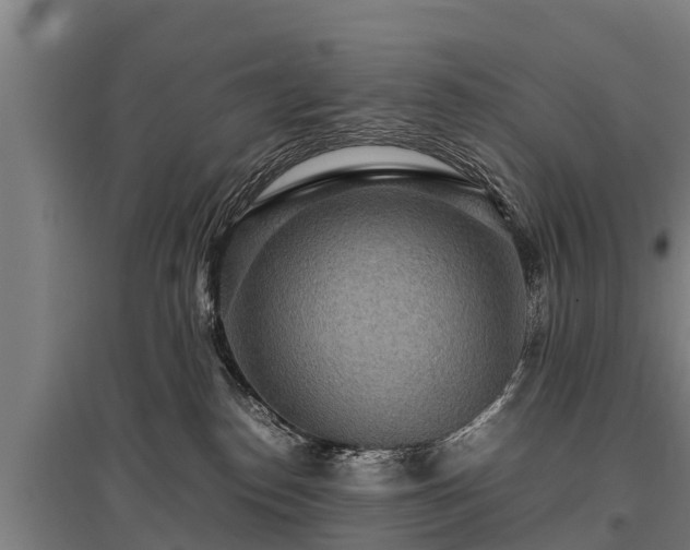 X0000095940186200801181409