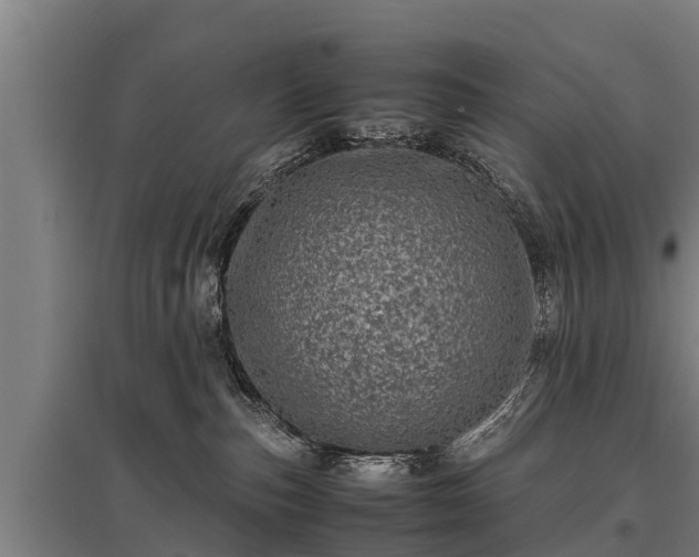 X0000095940187200801181409