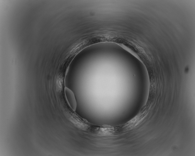 X0000095940188200801181409