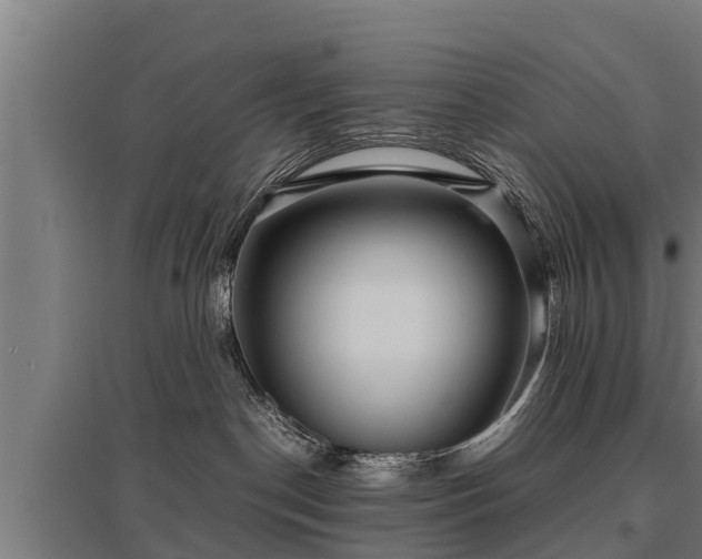 X0000095940190200801181409