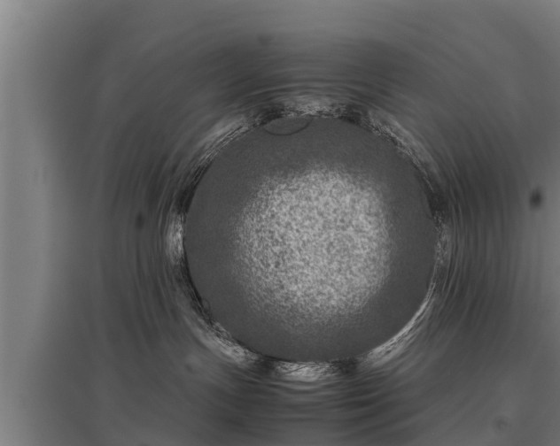 X0000095940191200801181409
