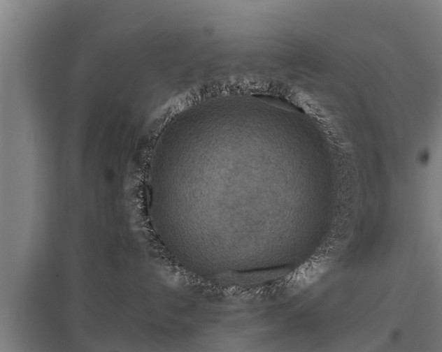 X0000095940192200801181409