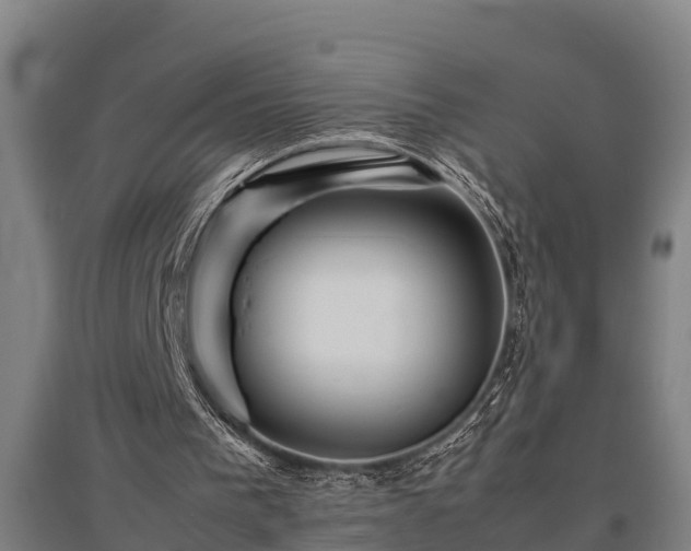 X0000095940193200801181408