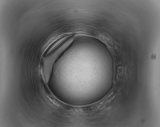 X0000095940194200801181408