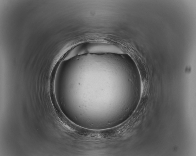X0000095940195200801181408