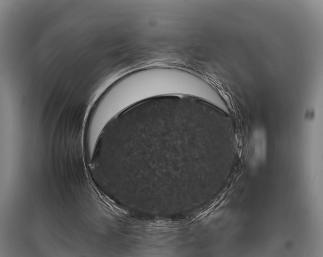 X0000095940196200801181408