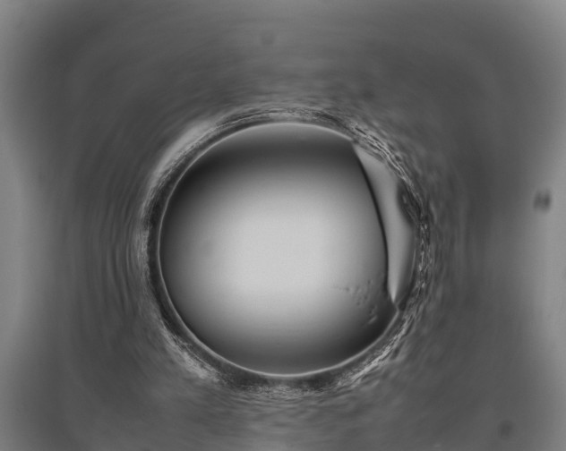 X0000095940197200801181408
