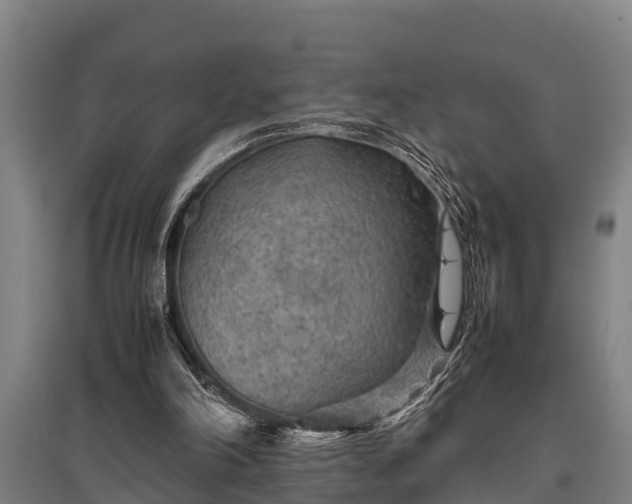 X0000095940198200801181408