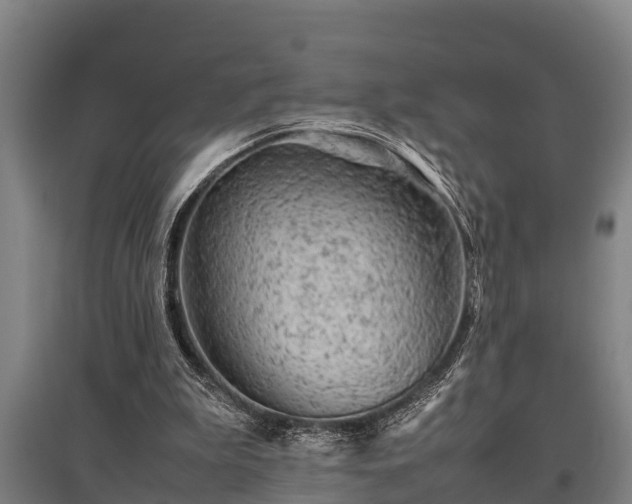 X0000095940199200801181408