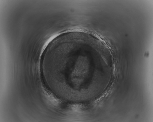 X0000095940200200801181408