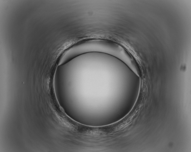 X0000095940201200801181408