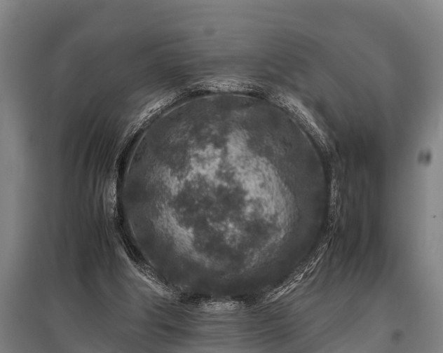X0000095940202200801181408