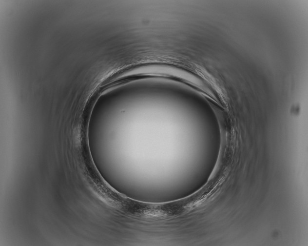 X0000095940203200801181408