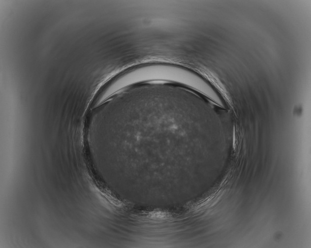 X0000095940204200801181408
