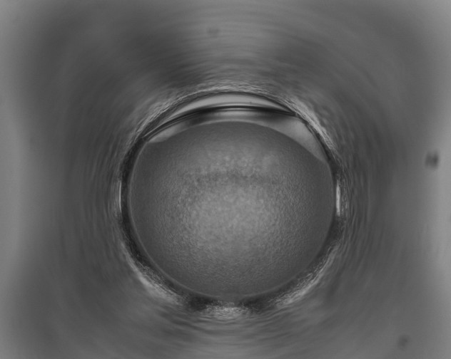 X0000095940205200801181408