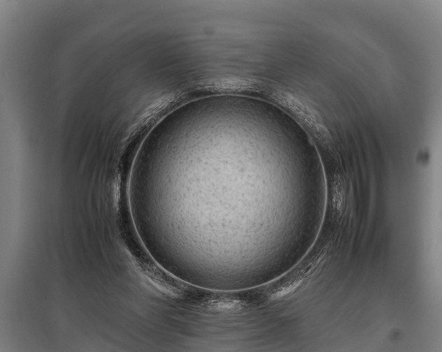 X0000095940206200801181408
