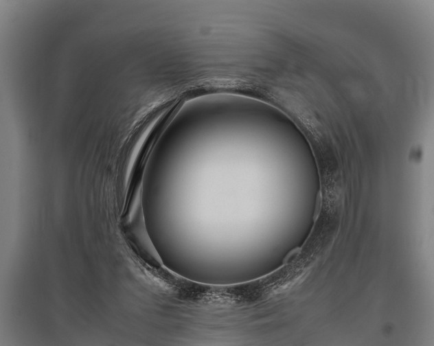 X0000095940207200801181408