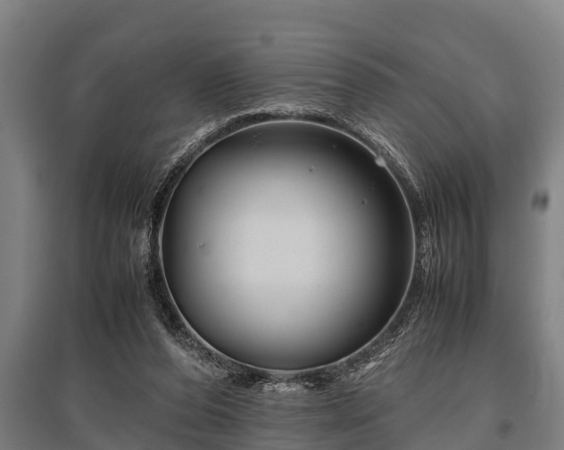 X0000095940208200801181408