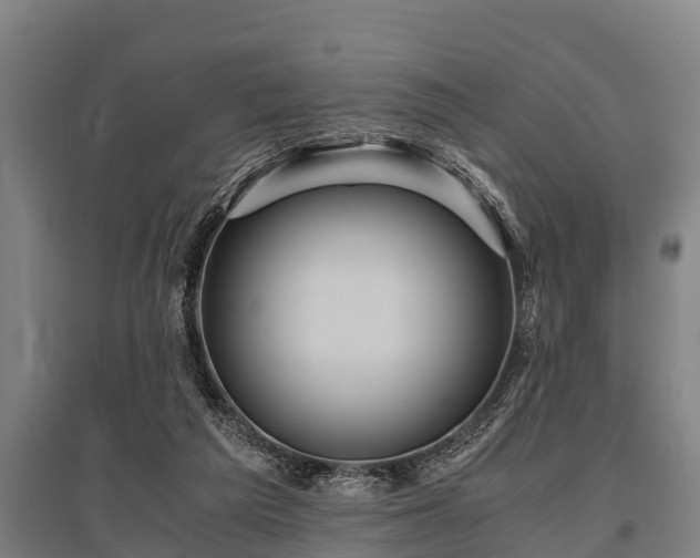 X0000095940209200801181408