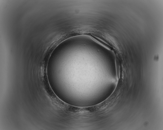 X0000095940210200801181408
