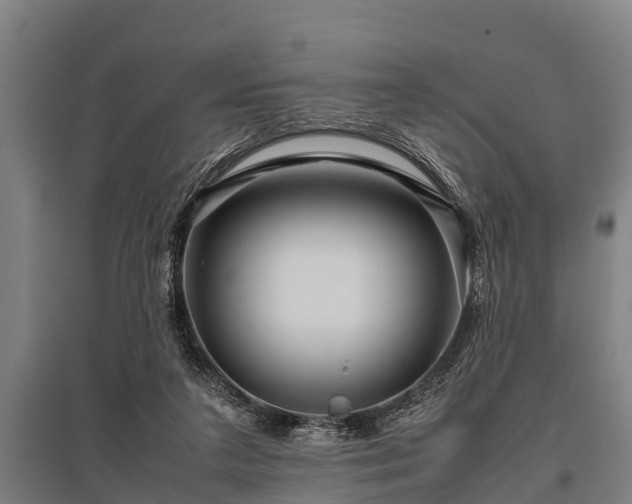 X0000095940211200801181408