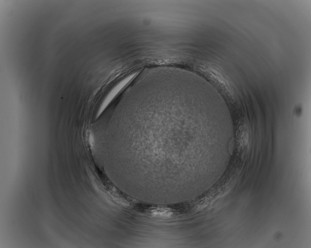 X0000095940214200801181408