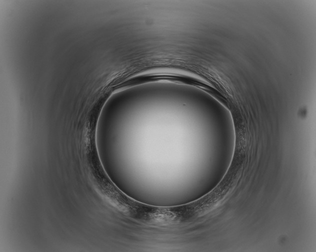 X0000095940215200801181408