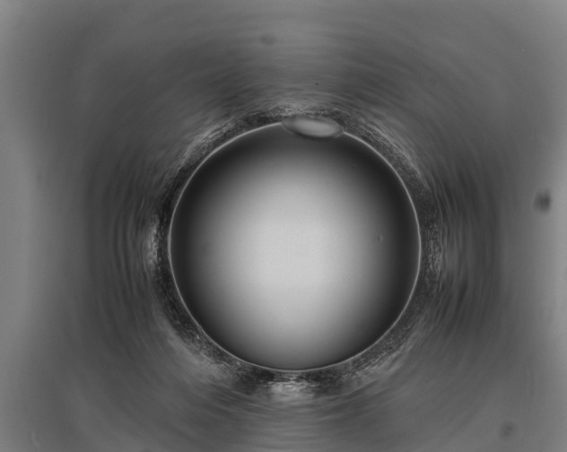 X0000095940216200801181408