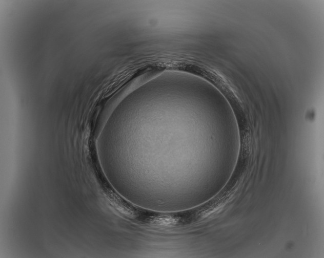 X0000095940217200801181408