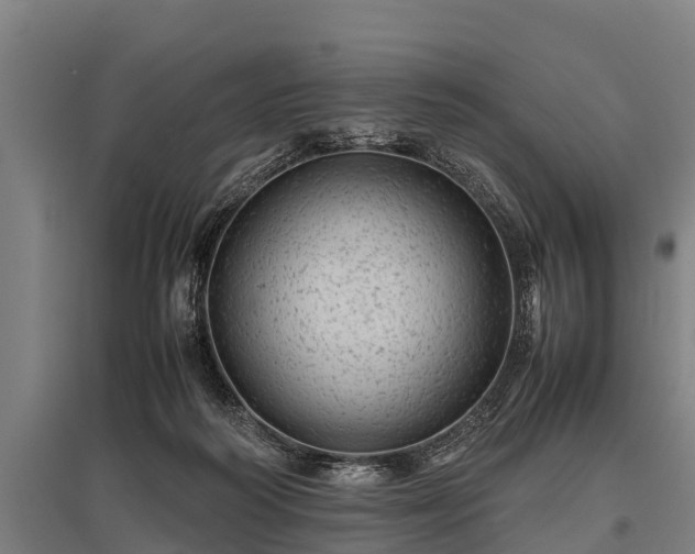 X0000095940218200801181408