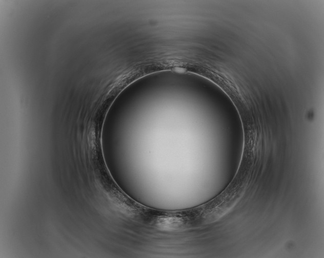 X0000095940220200801181408