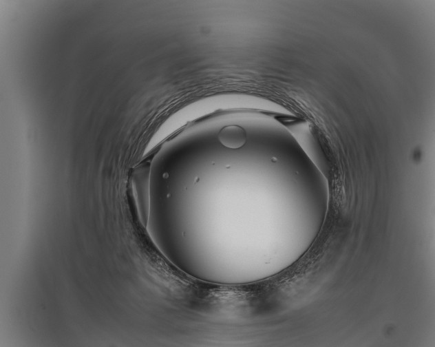 X0000095940221200801181408