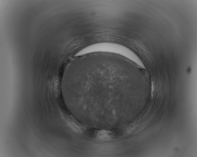 X0000095940222200801181408