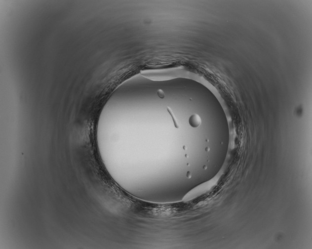 X0000095940225200801181408