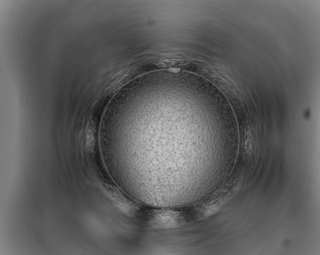 X0000095940226200801181408