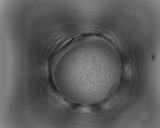 X0000095940228200801181407
