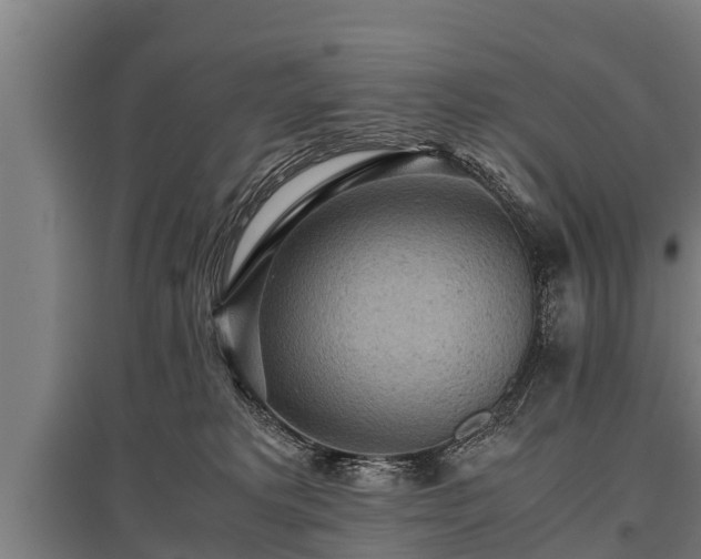 X0000095940229200801181407