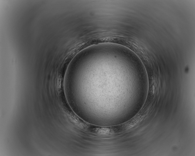X0000095940230200801181407