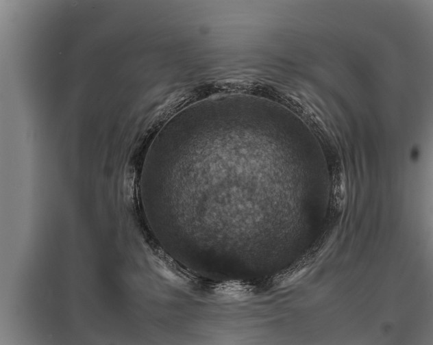 X0000095940231200801181407
