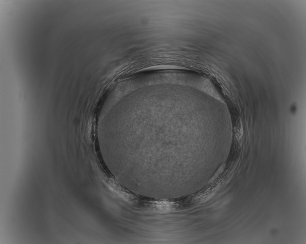 X0000095940233200801181407