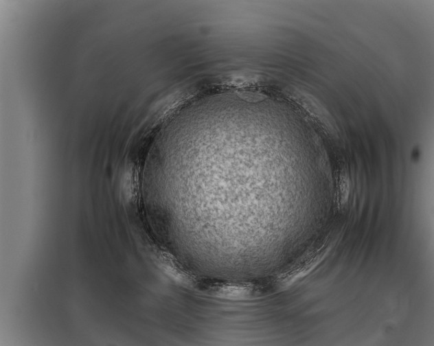 X0000095940236200801181407