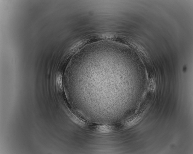 X0000095940238200801181407