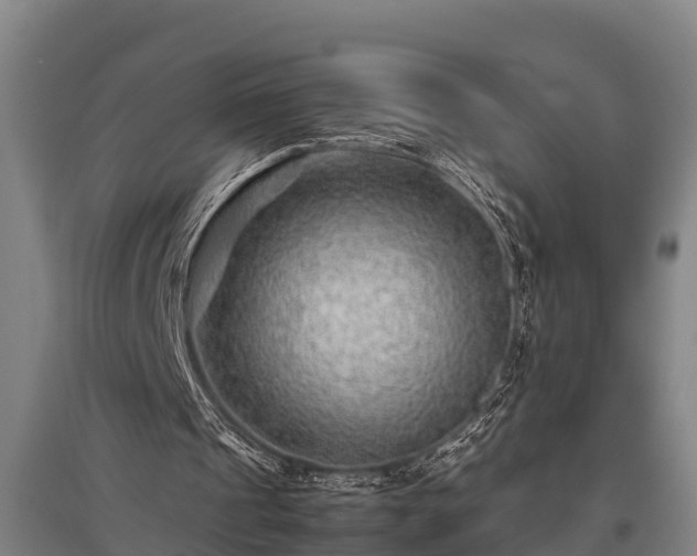 X0000095940241200801181407