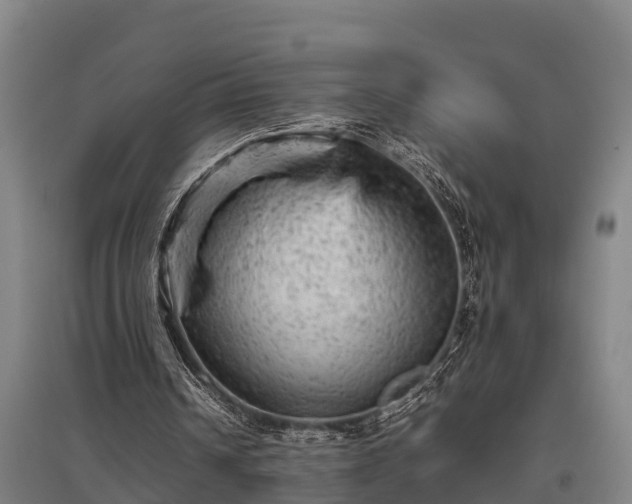 X0000095940242200801181407