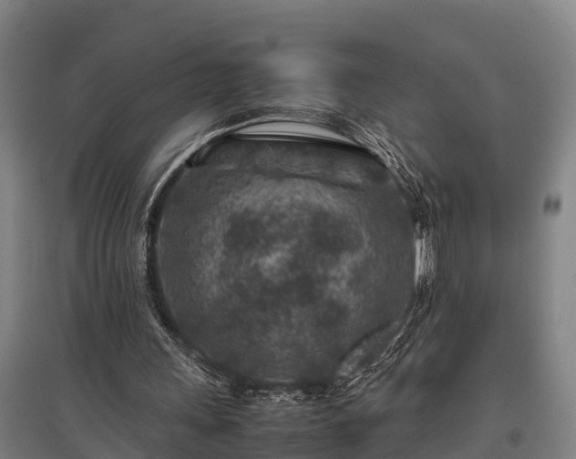 X0000095940243200801181407