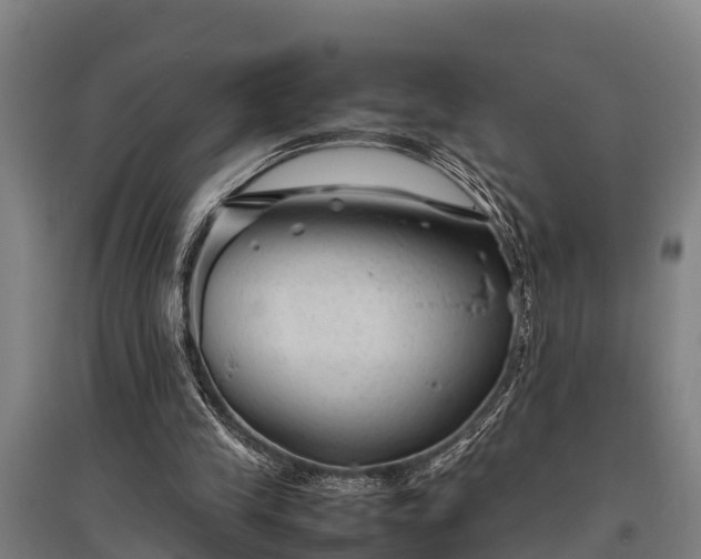 X0000095940245200801181407