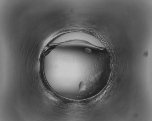 X0000095940246200801181407